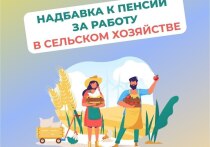 В Калмыкии почти две тысячи человек, вышедших на заслуженный отдых, получают увеличенную фиксированную выплату к страховой пенсии.
