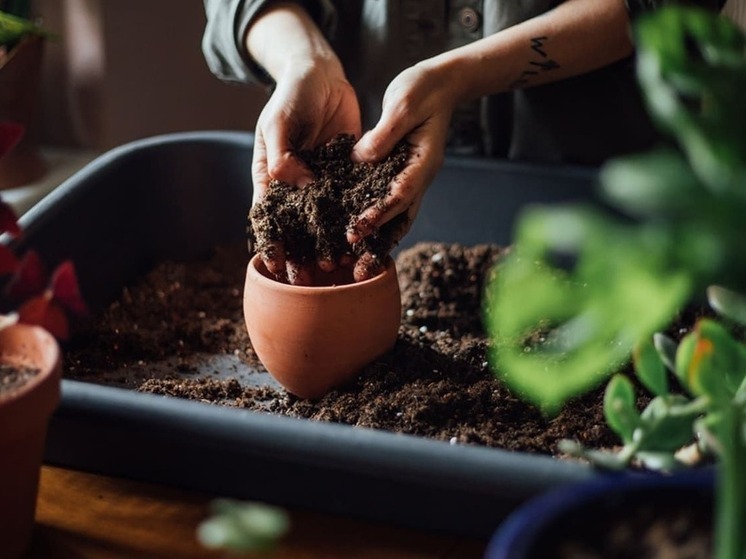 Завтра жителям Калмыкии следует забыть о работе с землей