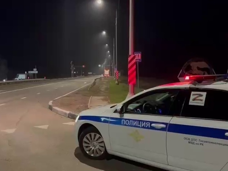 На дорогах Калмыкии продолжаются профилактические рейды ГИБДД