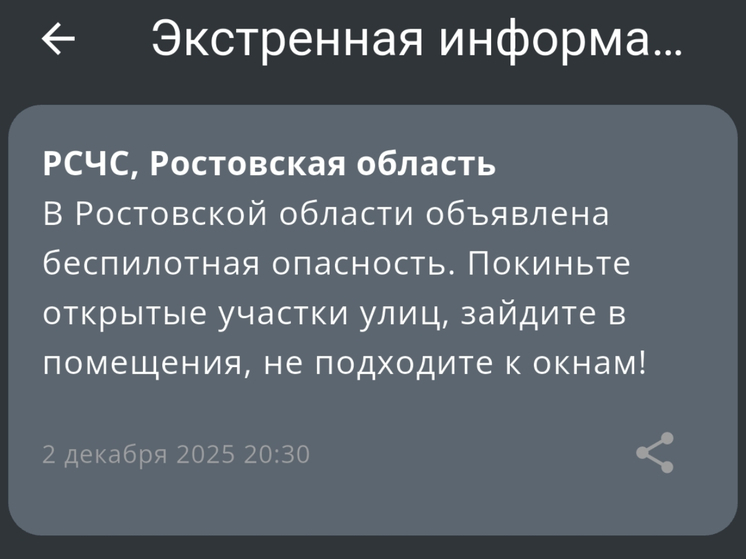 В Ростовской области вечером 2 декабря ввели режим опасности БПЛА