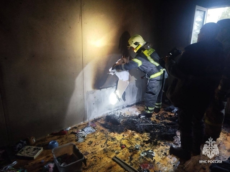 В Ярославской области в частном доме случился пожар из-за зарядки от телефона