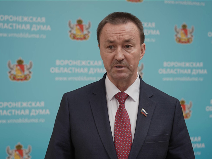 Воронежская областная Дума приняла в первом чтении бюджет на 2026-2028 годы