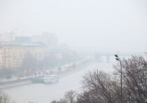 Как бы москвичам ни хотелось белого снежку, чтобы он покрыл собой землю, пока что декабрь, хоть и является первым зимним месяцем, не спешит им баловать