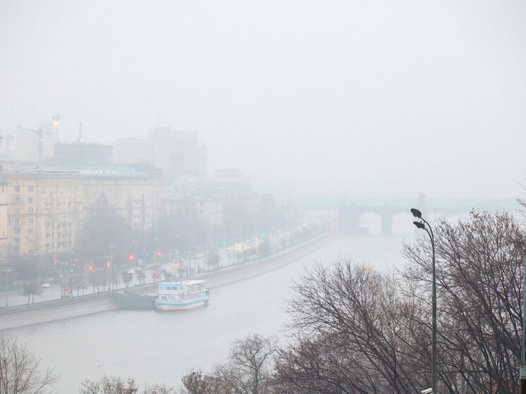Как бы москвичам ни хотелось белого снежку, чтобы он покрыл собой землю, пока что декабрь, хоть и является первым зимним месяцем, не спешит им баловать