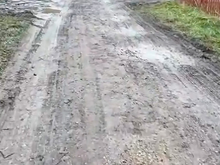 Липчане самостоятельно ремонтируют разбитые дороги