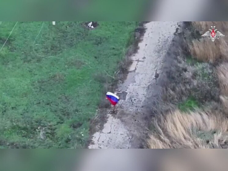 В Запорожской области освобождён посёлок Зелёный Гай