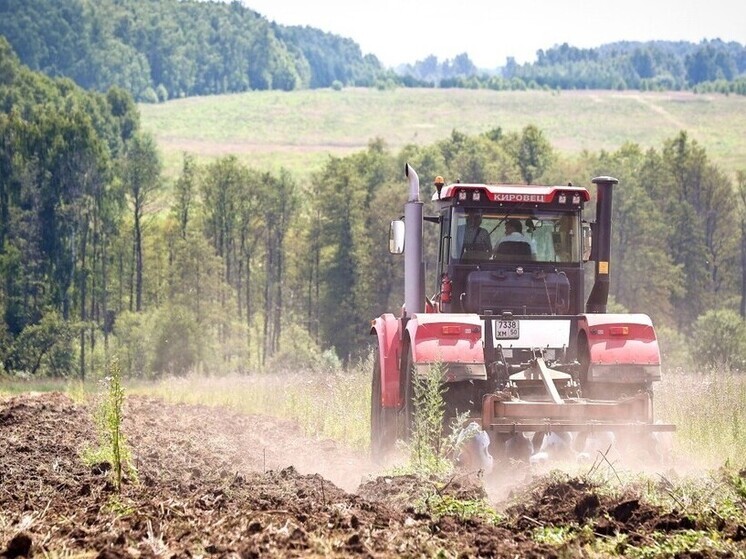 Подмосковные фермеры получили более 260 гектаров сельхозземель в ноябре