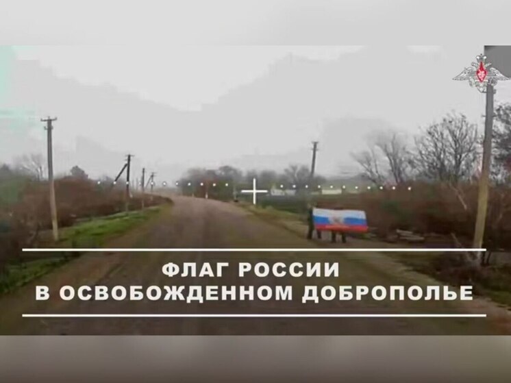 Войска России освободили Доброполье в Запорожской области