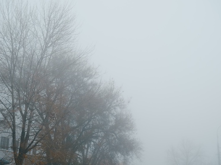 В Волгоградской области 3 декабря ожидаются гололедица и туман