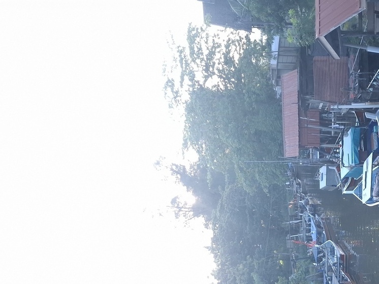 Стало известно, почемц Россия откажется от плана Трампа