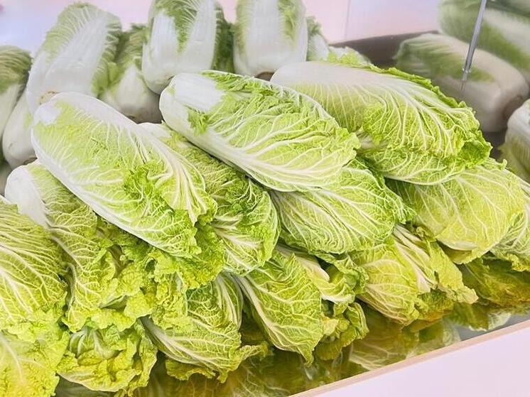 В Предгорье Ставропольского края собрали «зелёный урожай»