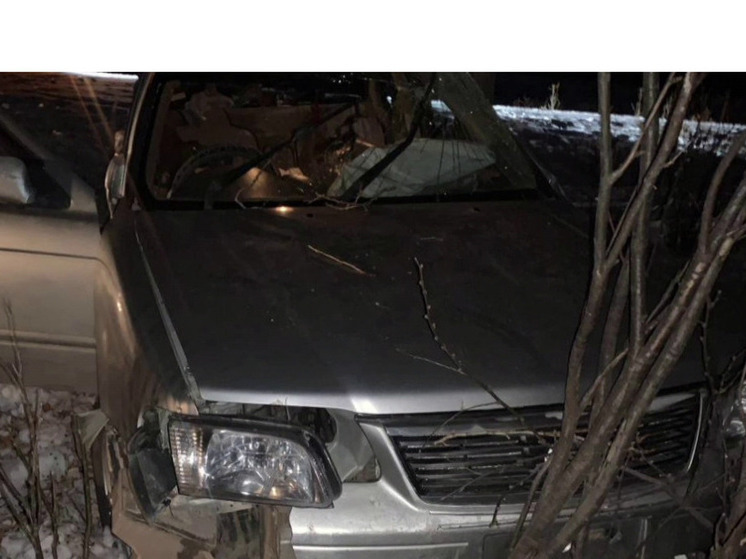 Автомобиль врезался в дерево в Забайкалье, пассажир погибла