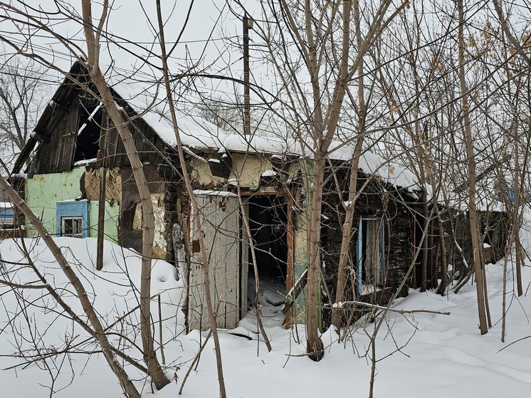 Бастрыкин взял под контроль историю многодетной новосибирской семьи без жилья