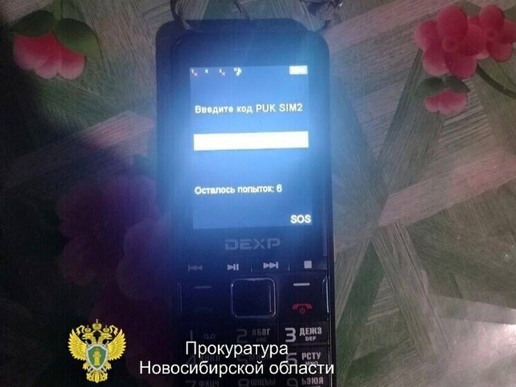 В Новосибирске 19-летнюю девушку обвиняют в краже денег с телефона отчима