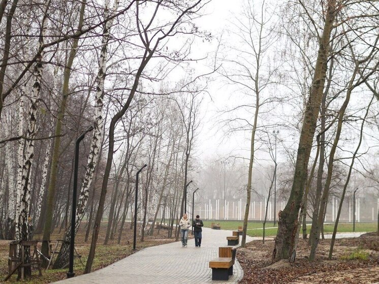 Осадков в ближайшие дни в Воронежской области не будет