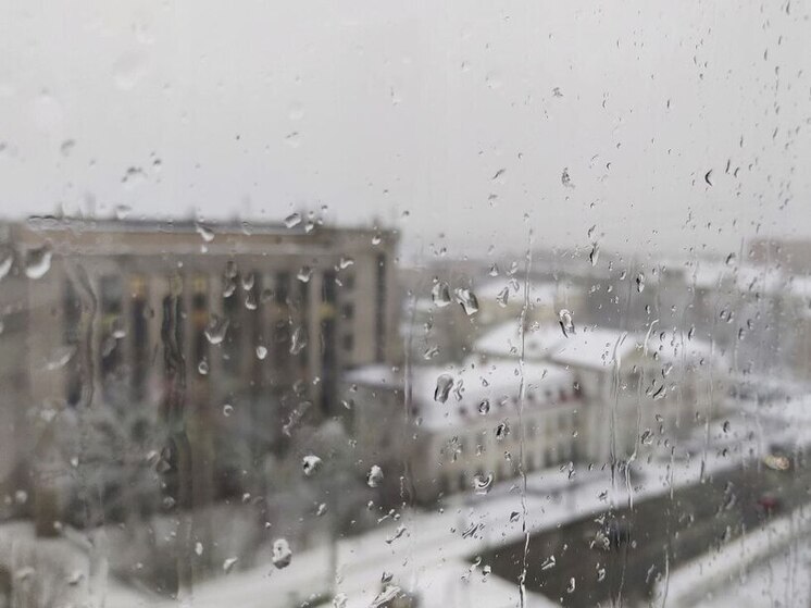 Тепло и дождливо будет 3 декабря в Карелии