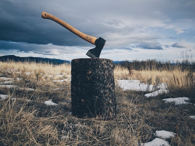 В Красноярском крае осужден «черный лесоруб», организовавший незаконную вырубку на 1,8 миллиона рублей