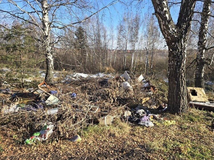 Томская прокуратура добилась ликвидации крупной свалки в лесу