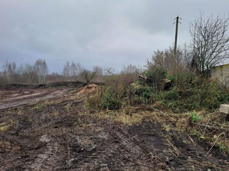 В Орловской области на птицефабрике «Тиняковская» нашли нарушения