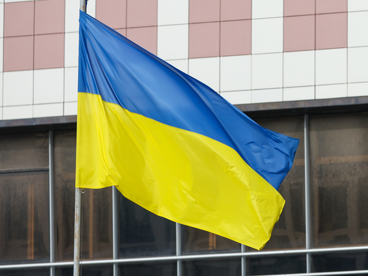 Соскин: Киев рассчитывал использовать визит Уиткоффа для перемирия на фронте