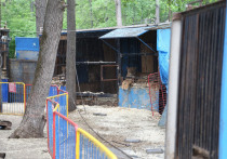 В скандально известном лунозоопарке «Саванна», расположенном на улице Менделеева в Уфе на территории между «Ак Йортом» и «Олимпик-парком», выявили нарушения