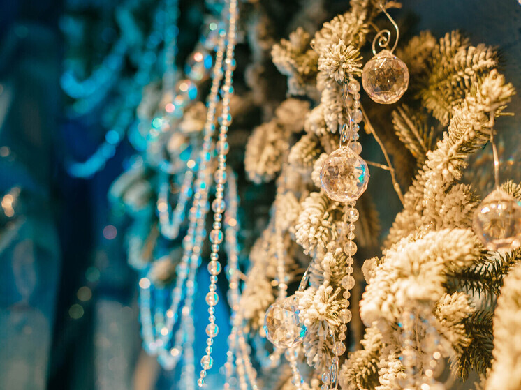 К встрече 2026-го готовы: что успеть сделать хабаровчанам перед Новым годом