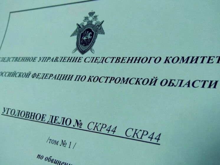 За несколько тысяч рублей костромичка-дропперша отправится в колонию