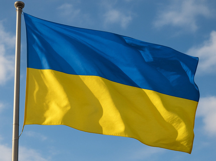 Картайзер: ЕС затягивает конфликт на Украине, чтобы стать военным альянсом