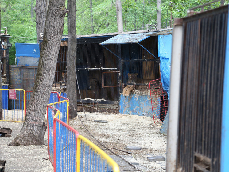 Негативные отзывы на зоопарк были и во время работы зверинца