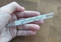 В Республике Алтай продолжается рост заболеваемости острой респираторной вирусной инфекцией. Медики зафиксировали превышение эпидпорога почти вполовину. В связи с этим некоторые школы решили перевести на дистанционный режим, а некоторые классы — закрыть.