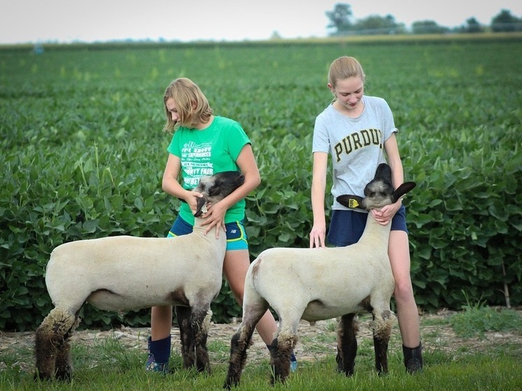 В Башкирии распределят гранты «Семейная ферма»