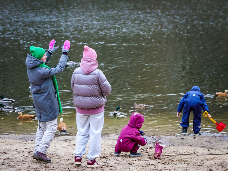 В России за год пропали почти 900 детей