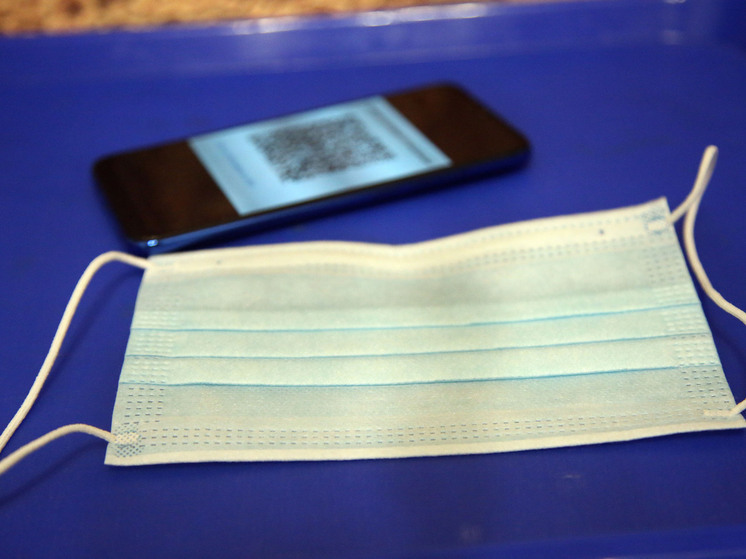 В Благовещенске ввели обязательный масочный режим из-за всплеска заболеваемости среди детей