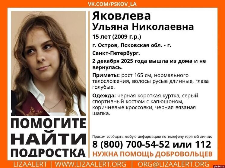 В Острове ищут не вернувшуюся домой школьницу