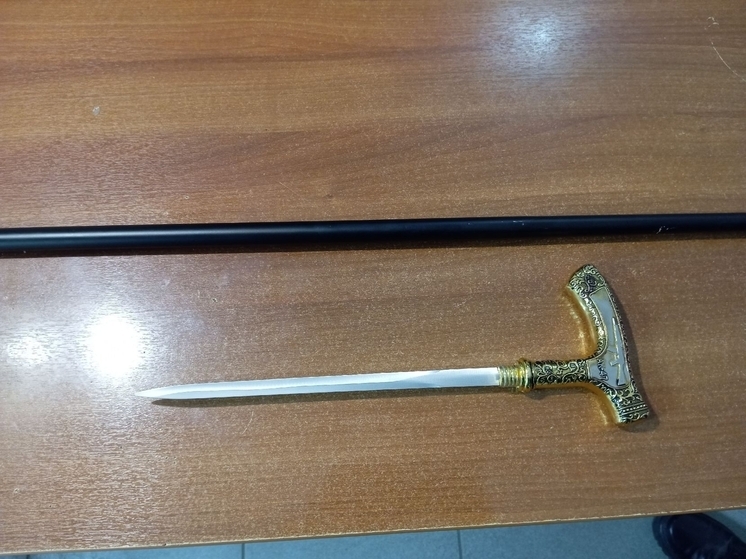 Во Владимире в здании суда из трости изъяли клинок