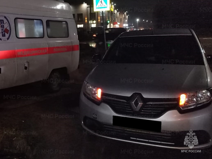 Renault Logan снёс пешехода в Людинове