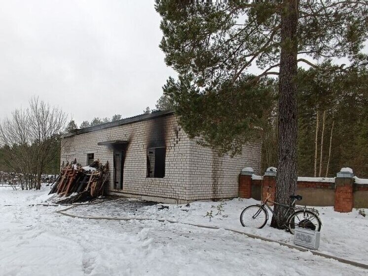 В Вельске горела хозпостройка, погиб мужчина