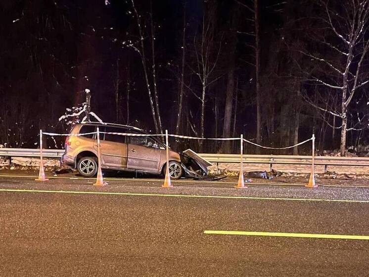 Обгон иномарки в Валдайском округе привел к гибели водителя