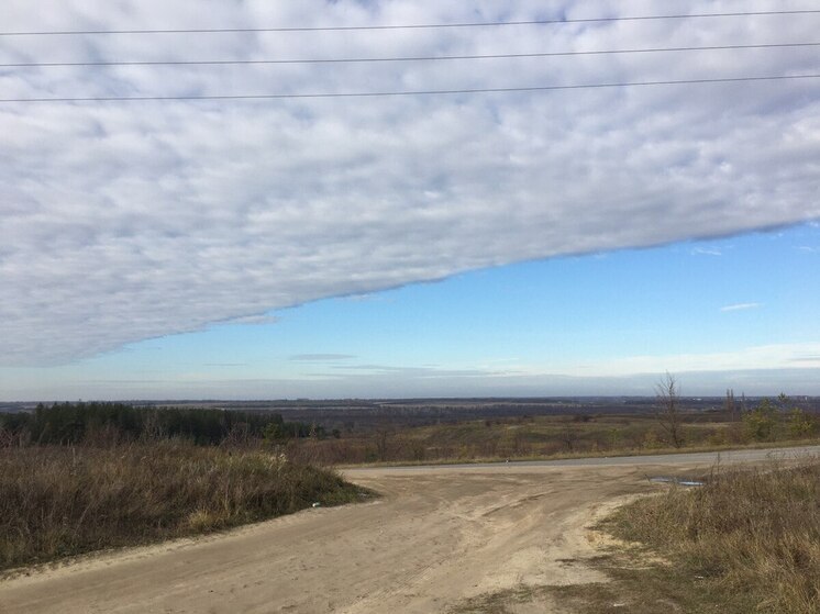 Шестеро пропавших без вести найдены в Воронежской области погибшими