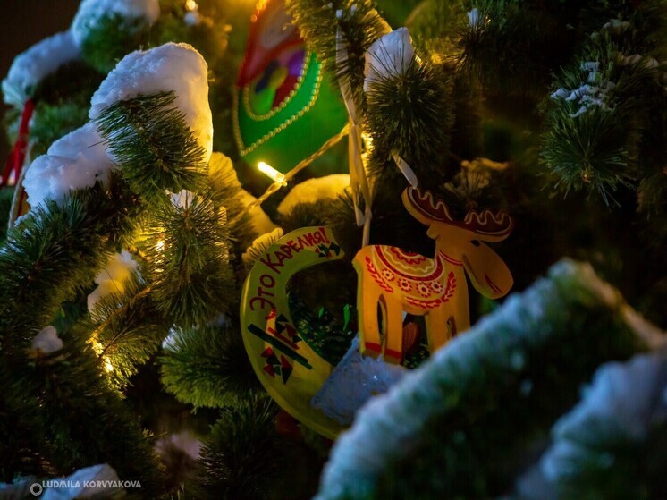 В Карелии стартовала новогодняя экологическая акция «Новогодний вернисаж»