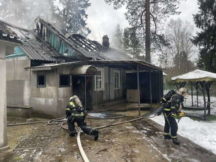 Ленинградские спасатели 11 раз выезжали на вызовы за дежурные сутки