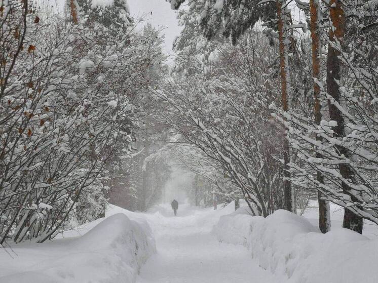 Прогноз погоды по Якутску на завтра, 4 декабря