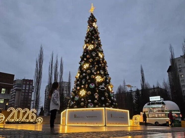 На площади Мустая Карима в Уфе установили новогоднюю ель