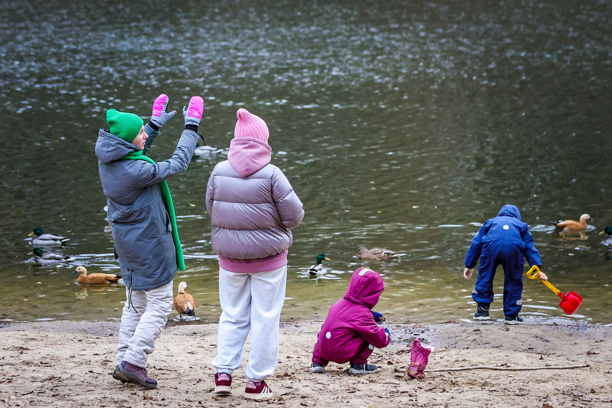 Почти 900 исчезнувших несовершеннолетних: данные поисковиков за 2025 год