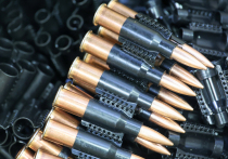 У кичащейся своим «орднунгом», то есть порядком, Германии появился новой повод для «гордости»