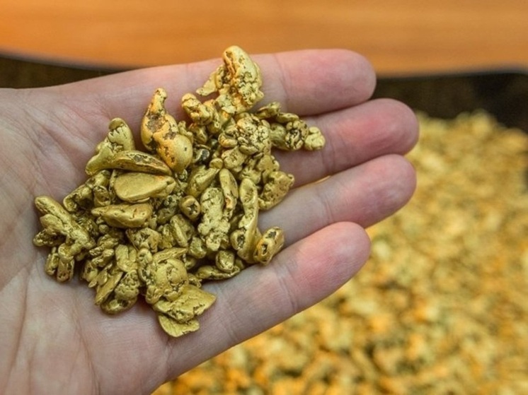 На Колыме повысят эффективность рекультивации земель после добычи россыпного золота