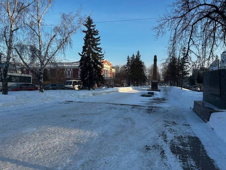 Метели и мокрый снег ожидаются в Алтайском крае на фоне оттепели