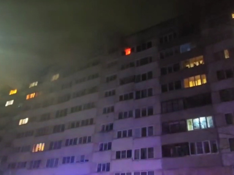 Во время пожара выгорели кухня и прихожая в квартире в городе Коммунар