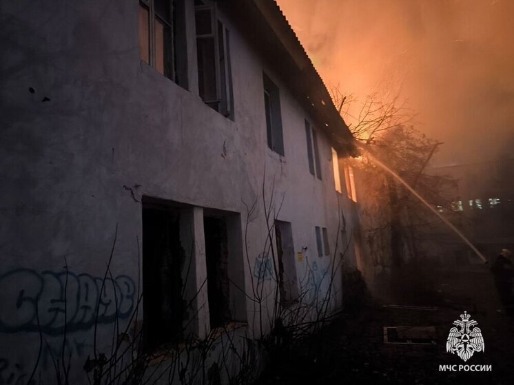 В Донском оперативно ликвидировано возгорание в заброшенном здание
