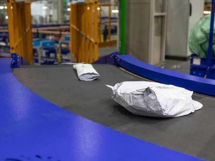 Новосибирские таможенники пресекли ввоз из Китая партии «шпионских» отмычек